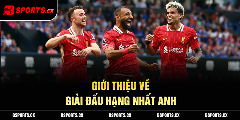 Giới thiệu về giải đấu hạng nhất Anh