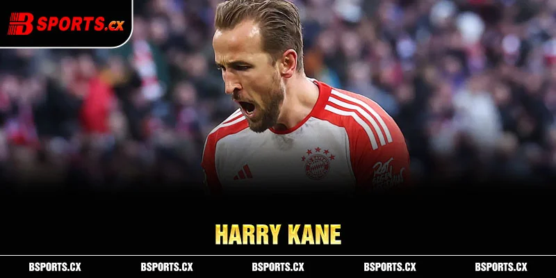 Cầu thủ tiền đạo Harry Kane