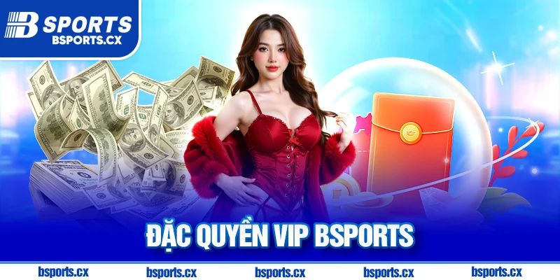 Chương trình VIP Bsports quy trình tự động chuyên nghiệp dễ tiếp cận đặc quyền cao